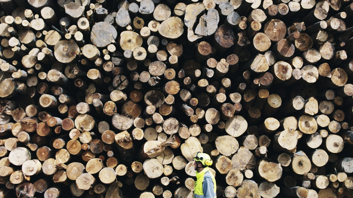 GOTS, OEKO-TEX, FSC: care spune ce